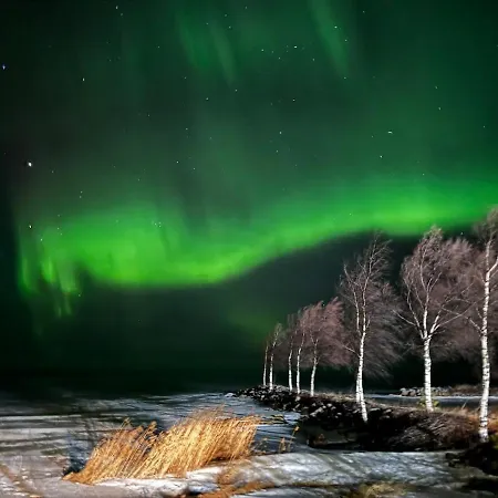 Pekkala